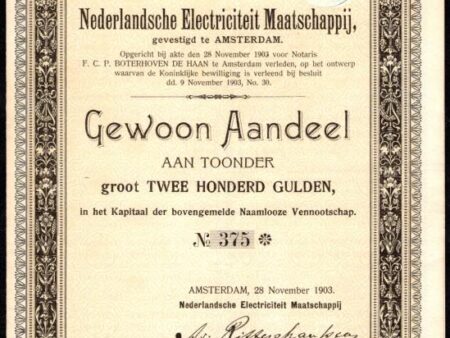 Nederlandsche Electriciteit Maatschappij